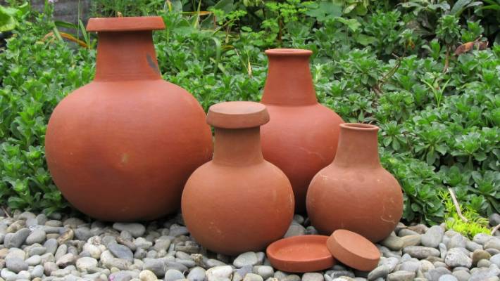 DIY Terra-Cotta Olla Self-Watering System for Gardening