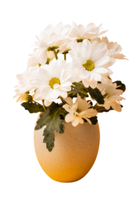 Elegant Clay Round Flower Vase