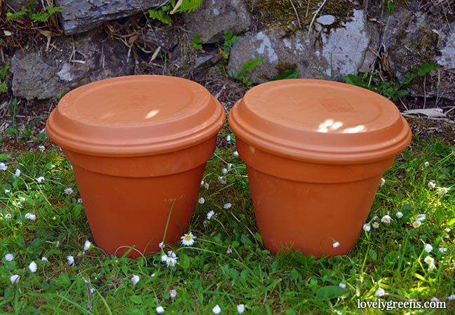 Self-Watering-Pot
