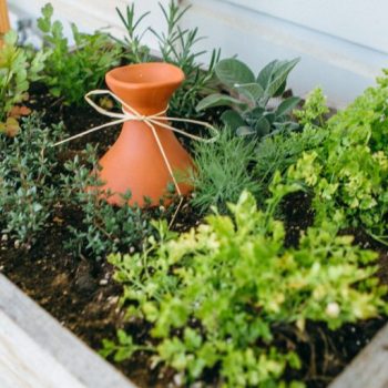Garden-Olla-Pots